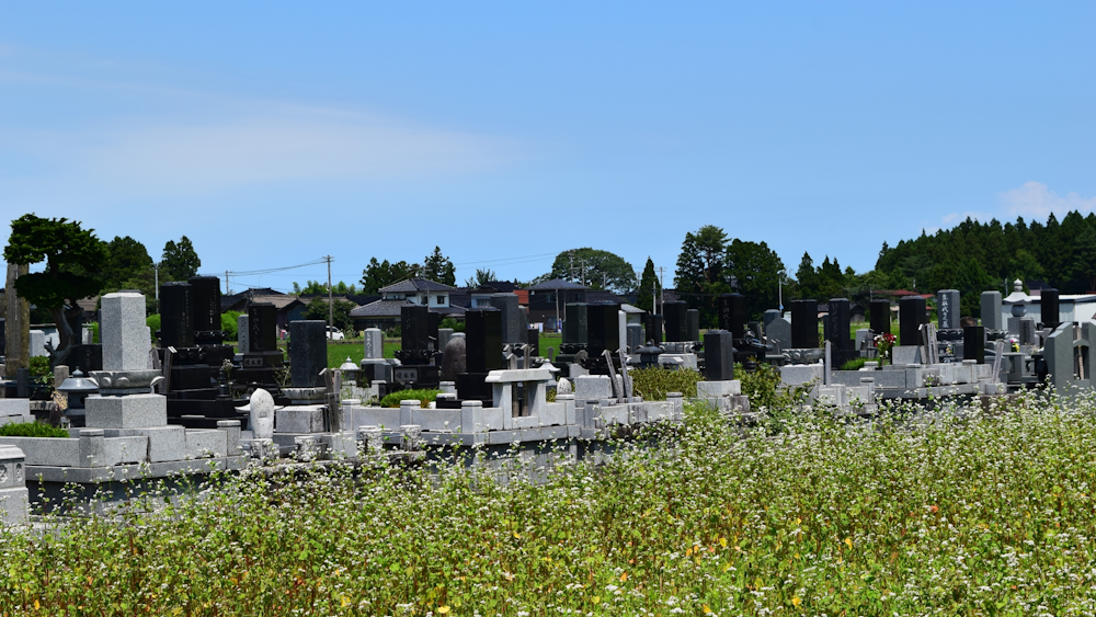 墓地の風景